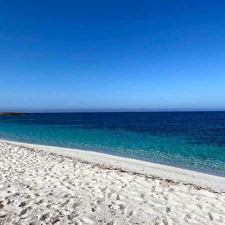 Casa Vacanze Da Roberta A Pochi Km Da Oristano Simaxis エクステリア 写真